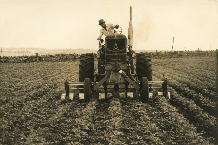 Concurso de fotografia valoriza construção histórica do SPD