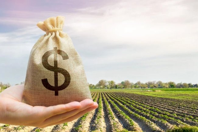 Cargill vai pagar agricultores por sequestro de carbono