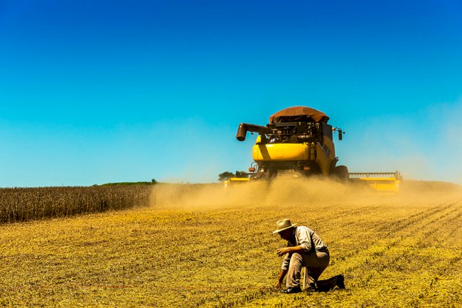 Brasil: estimativas da produção de grãos 2022/23 (devemos ultrapassar os 300 milhões de toneladas)