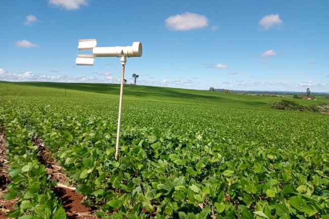 Adoção de boas práticas agrícolas comemora 10 anos de resultados no Paraná, com redução de mais de 50% no uso de inseticidas