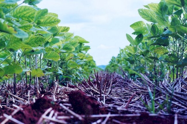 Uma oportunidade para o agro brasileiro