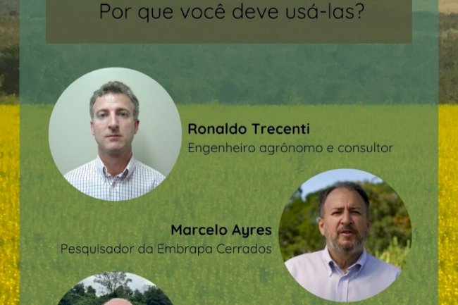 Plantas a serviço de uma agricultura mais produtiva e mais sustentável