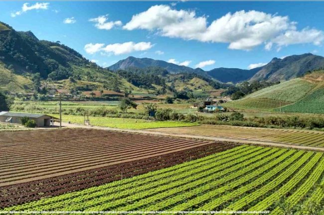 Manejo ecossistêmico de propriedades agrícolas