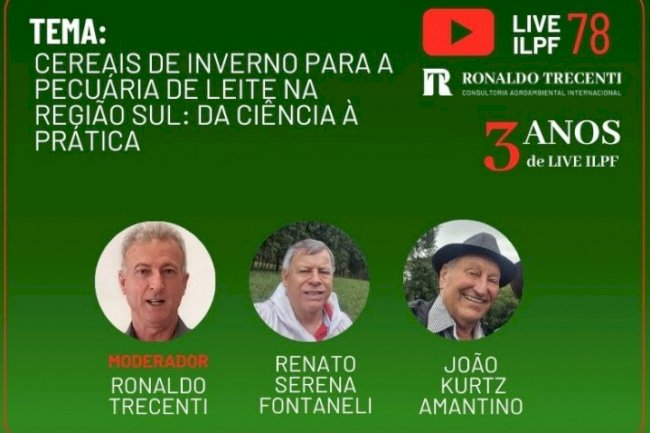 Live ILPF: Trigo para pastejo e grãos – uma inovação sustentável