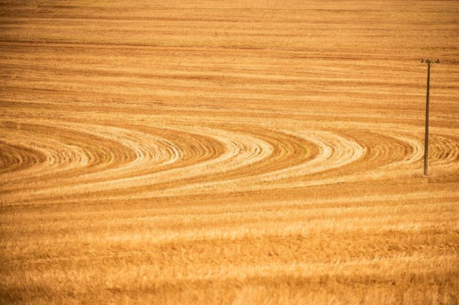Manejo de solo passa a fazer parte do Zoneamento de Risco Climático da soja