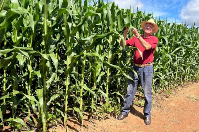 Solos mais ricos em carbono podem ampliar retenção de água e estabilidade das lavouras