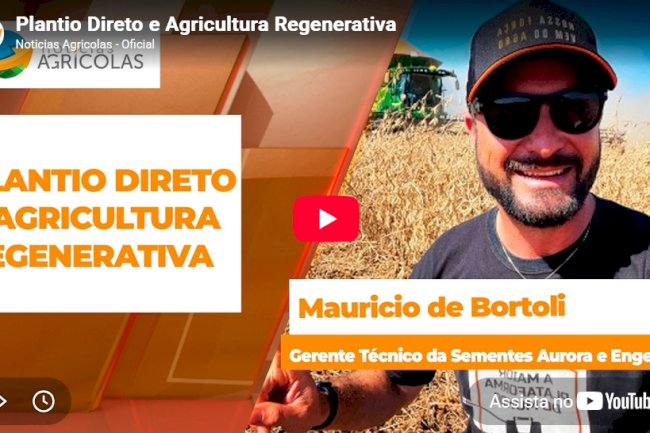 Quebrando paradigmas sobre a adoção do SPD - Entrevista com o produtor Mauricio de Bortoli, da Sementes Aurora