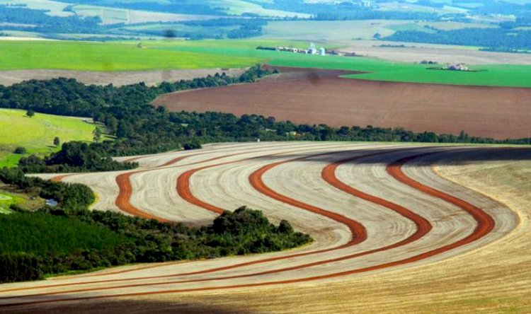 Agricultura sustentável, regenerativa e bem explicada