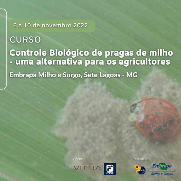 Curso aborda controle biológico de pragas na cultura do milho