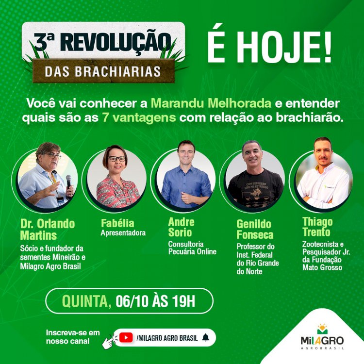 Evento nesta quinta aborda a 3ª Revolução das Brachiarias