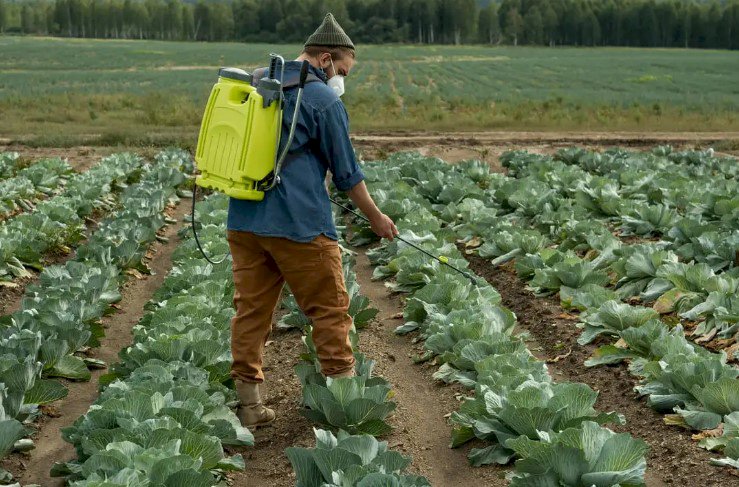 Tiofanato-metílico: fungicida importante para o manejo integrado de doenças de plantas e para a sustentabilidade da agricultura brasileira