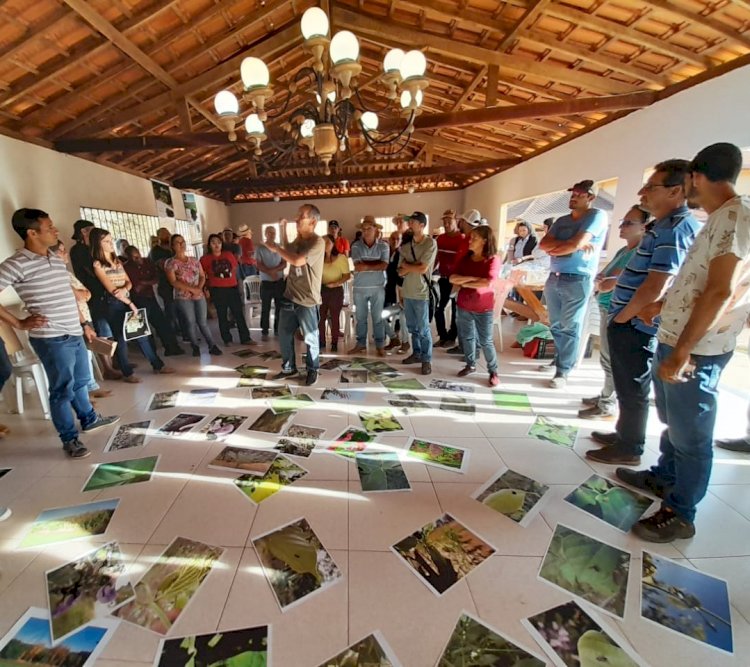 Manejo ecológico de insetos busca impulsionar produção agrícola sustentável