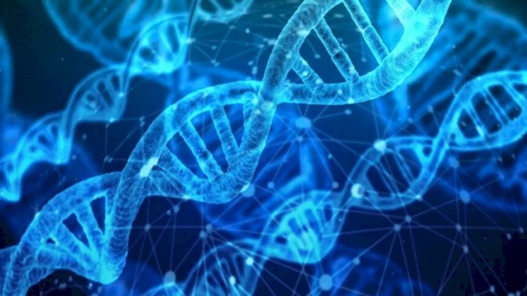 Biotecnologia aumenta a produtividade das culturas