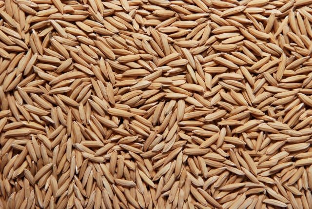 Caberá à ciência o aumento da produção de alimentos criando gigantescos refúgios ambientais?