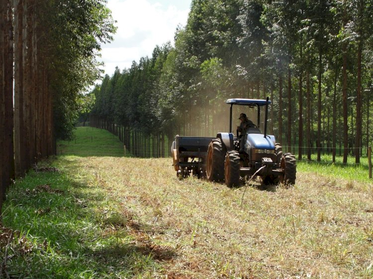 Tecnologias aumentam eficiência do uso de nutrientes no campo