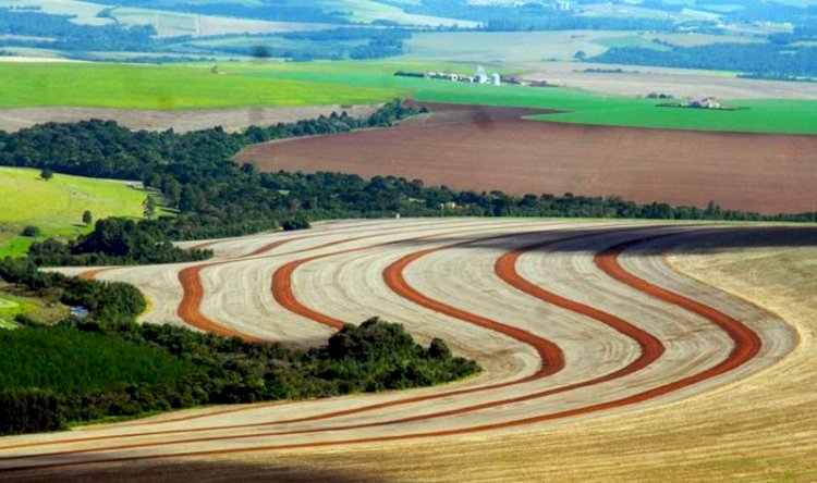 Agricultura conservacionista e as gerações futuras: caminhos entrelaçados