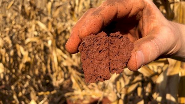 Estudo investiga mecanismos envolvidos na degradação do solo agrícola