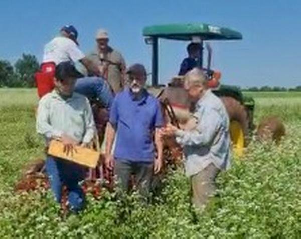 Sustentabilidade in loco e na prática