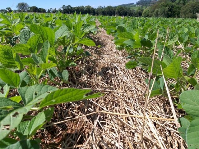 18º ENPDP destaca relação solo-fertilidade-produtividade