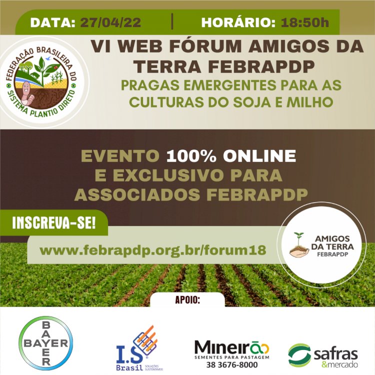 Web Fórum no dia 27 aborda manejo da cigarrinha e da mosca branca