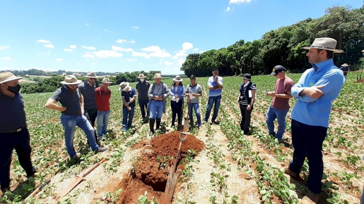 Treinamento em solos reúne produtores no RS