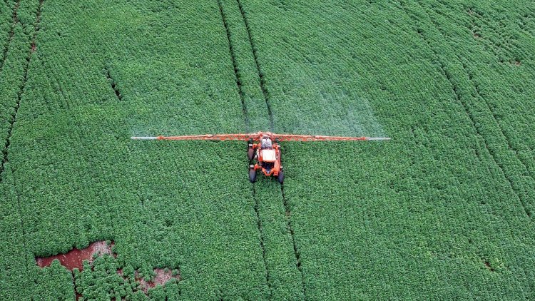Novo decreto federal exige capacitação para aplicadores de agrotóxico