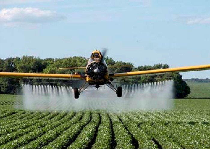 Por que usar defensivos agrícolas? São seguros?