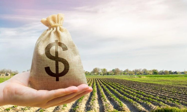 Cargill vai pagar agricultores por sequestro de carbono