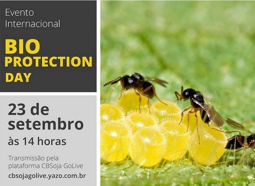 Bioinsumos é tema de evento no Dia da Bioproteção