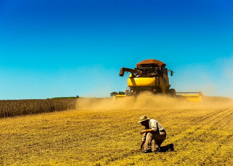 Brasil: estimativas da produção de grãos 2022/23 (devemos ultrapassar os 300 milhões de toneladas)