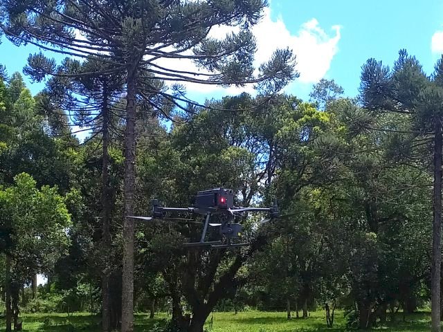 Pesquisa da Epagri avalia emissão de gases do efeito estufa em sistemas agropecuários do Planalto Norte de SC