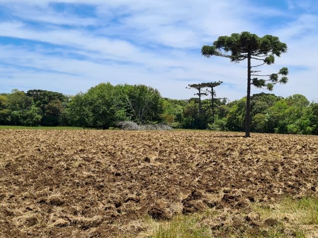 Pesquisa da Epagri usa drones para mapear solos e monitorar risco de perdas nas lavouras