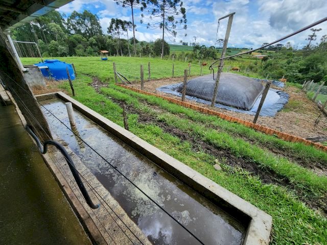 Em preparação ao 5º Fórum Sul Brasileiro de Biogás e Biometano, webinar apresenta cases e discute potencialidades para o meio rural