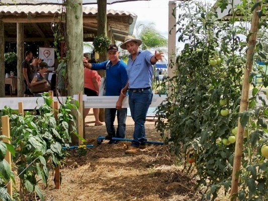 Expoagro Afubra destaca Sistema de Plantio Direto de Hortaliças