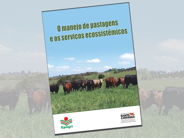 Publicação da Epagri mostra como o manejo da pastagem nativa pode melhorar o meio ambiente