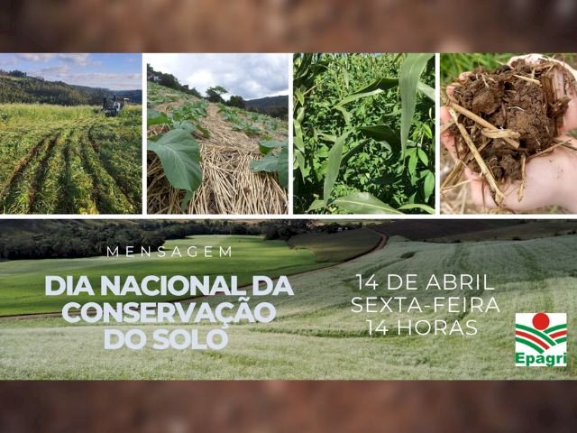 Epagri realiza nesta sexta, 14, evento on-line para marcar Dia da Conservação do Solo