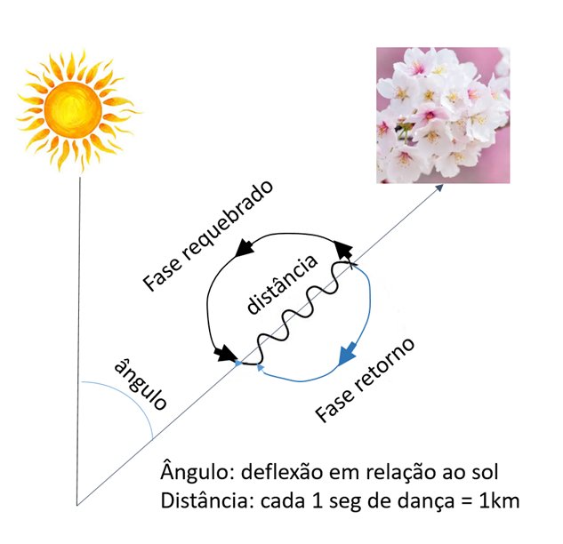 A dança das abelhas