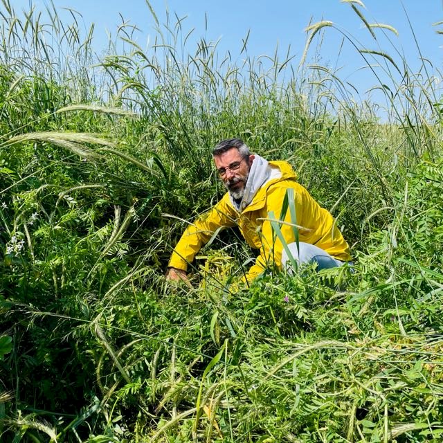 SPD em Santa Catarina: distância dos fundamentos do sistema é distanciamento de uma agricultura mais sustentável