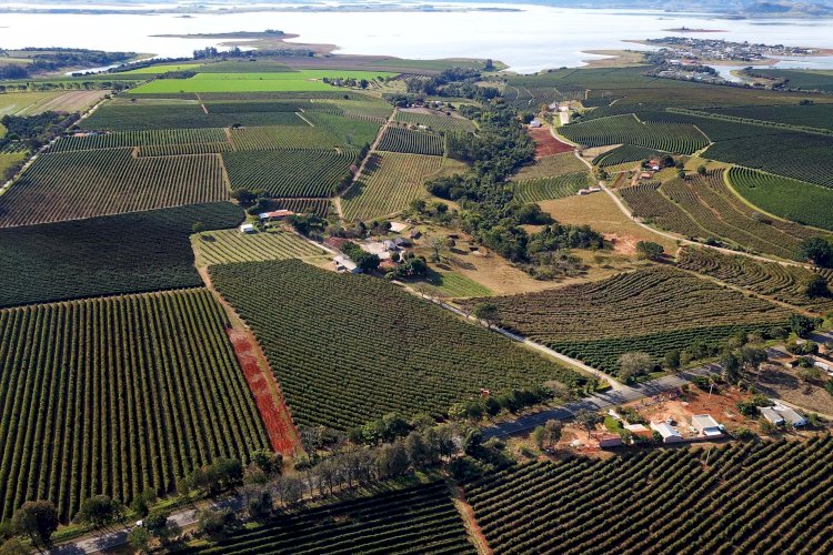 PR apresenta Plano Estadual de Baixa Emissão de Carbono na agricultura