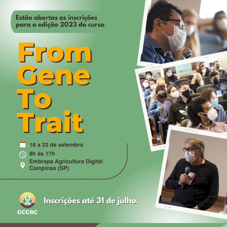 Centro de Pesquisa em Genômica para Mudanças Climáticas oferece curso gratuito de biotecnologia vegetal