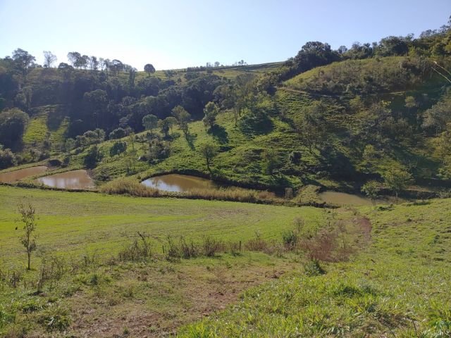 Iniciativa no Extremo Oeste de SC promove práticas agrícolas para controle da estiagem e da erosão do solo