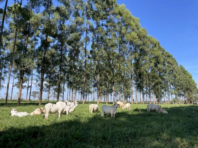 Projeções apontam que clima impactará PIB e agricultura no CO e NE em 2040