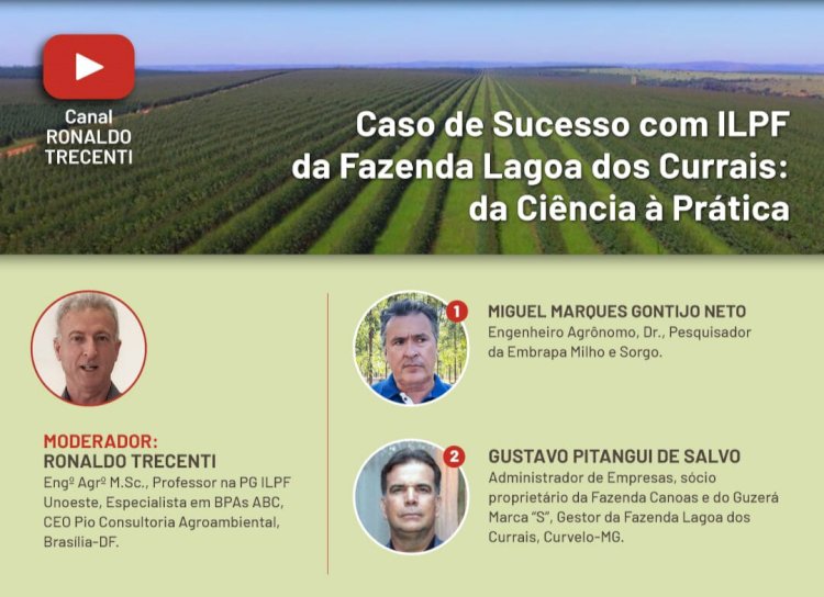 Live apresenta o caso de sucesso da Fazenda Lagoa dos Currais em ILPF, nesta quarta, 23