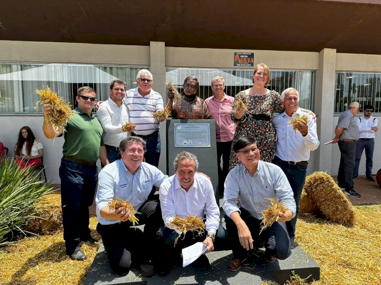 Dia do Plantio Direto celebra técnica revolucionária para a agricultura sustentável