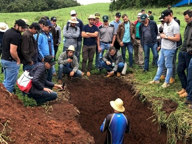 Agricultores do Oeste catarinense conhecem produção sustentável de grãos