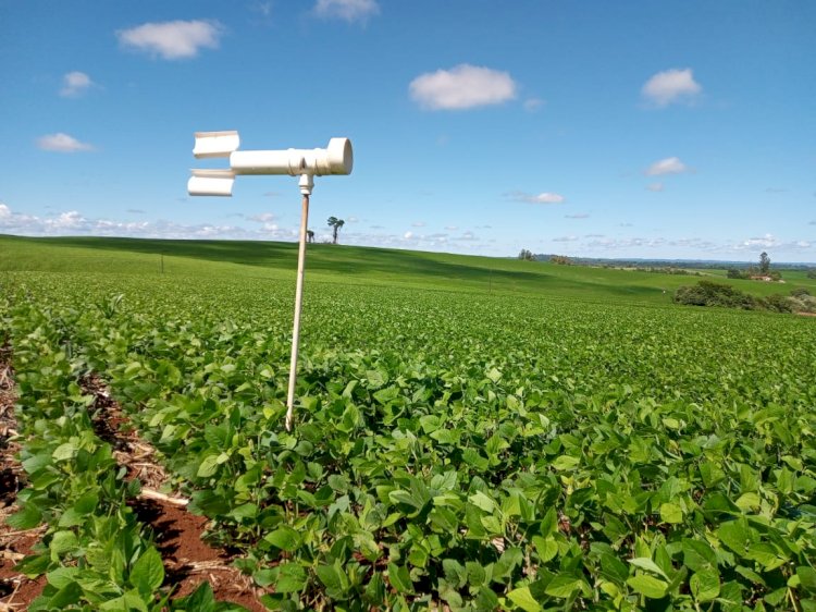 Adoção de boas práticas agrícolas comemora 10 anos de resultados no Paraná, com redução de mais de 50% no uso de inseticidas