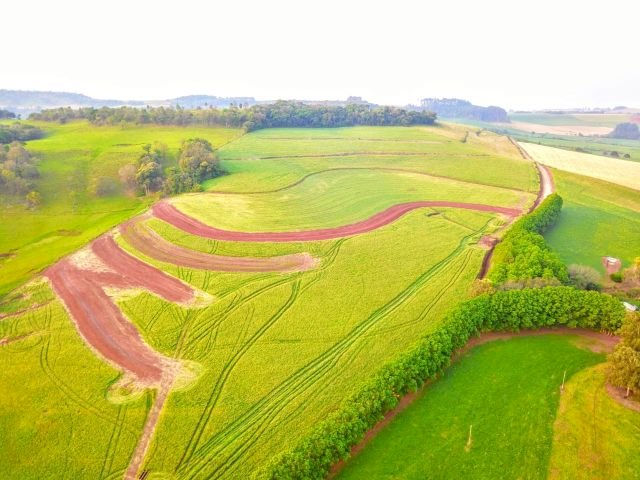 5 de dezembro, Dia Mundial do Solo: confira como os terraços minimizaram as perdas provocadas pelas chuvas em lavouras de grãos no Oeste de SC