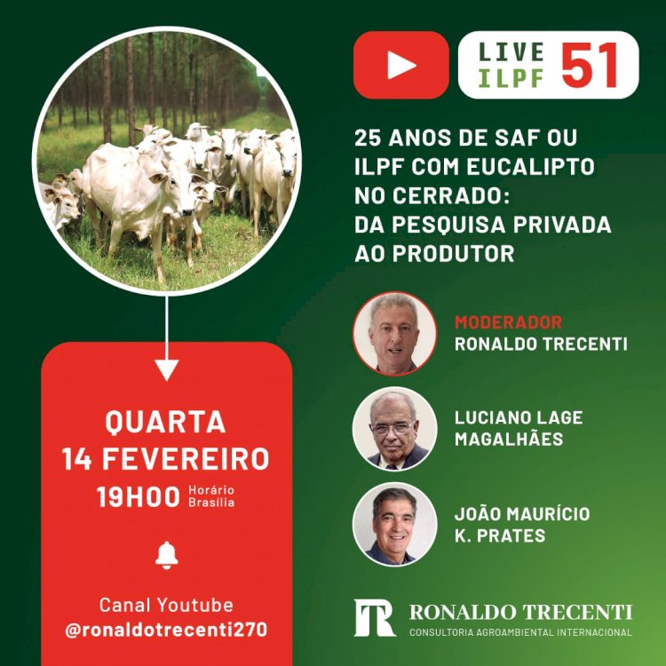 25 anos dos SAFs com eucalipto no Cerrado é tema de live nesta quarta