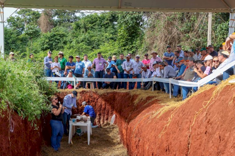 Estudo mostra saúde do solo como balizador de sucesso produtivo sustentável