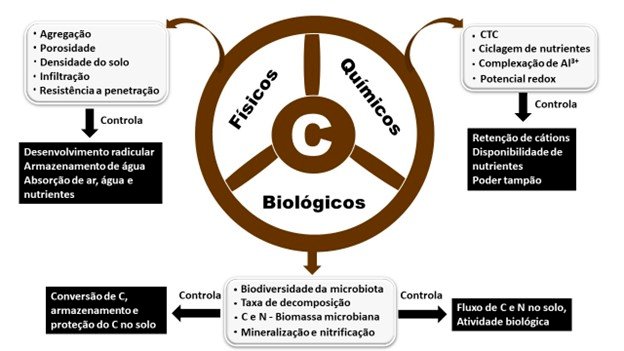 Sistema Plantio Direto: base para a agricultura sustentável